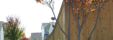 Cedar Privacy Fence Shown In King Style