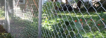 Galvanized-Chainlink