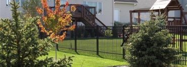 Ornamental Iron Fence