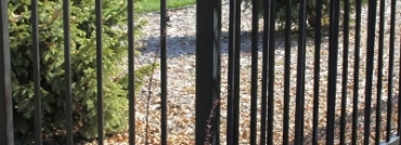 3 Rail Ornamental Iron Fence