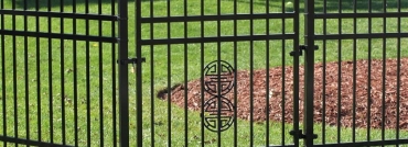 Ornamental Iron Fence Is Elegant Option