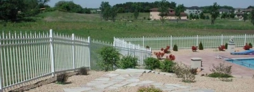 picture6
